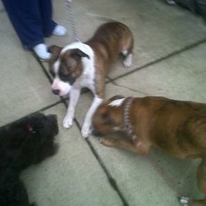 Meet your Posher, James